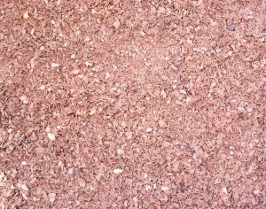 ModernGrass