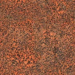 ModernGrass