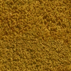 ModernPlant Leaves