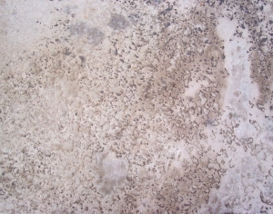 ModernCement