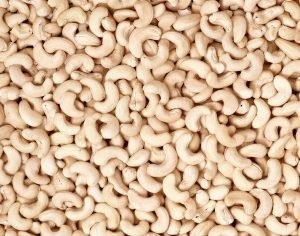 ModernFood
