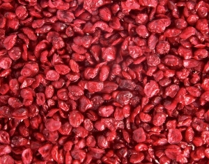 ModernFood
