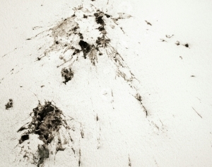 ModernCement