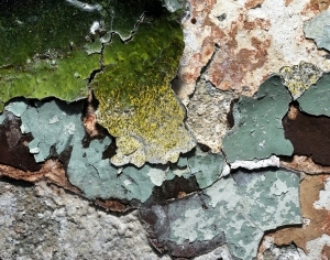 ModernCement