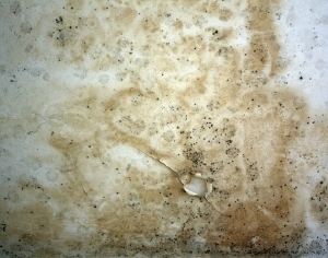 ModernCement