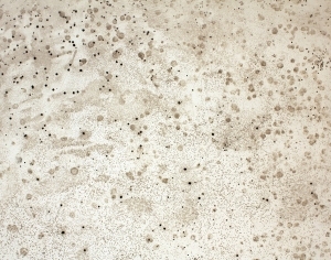 ModernCement