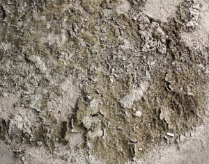 ModernCement