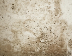 ModernCement