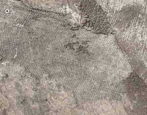 ModernCement