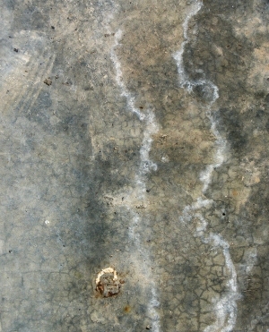 ModernCement