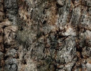ModernCement