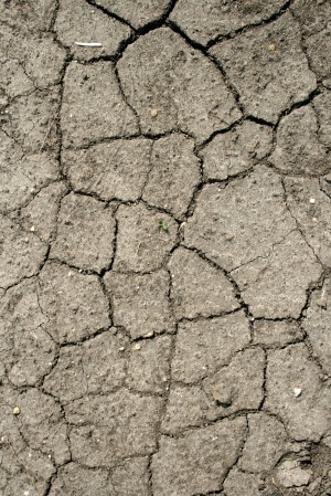 ModernOther