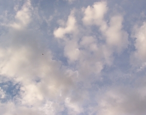 ModernThe Sky