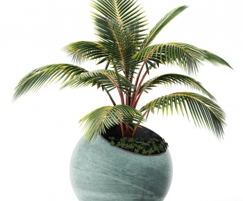 Modern Potted Green Plant-ID:244450093