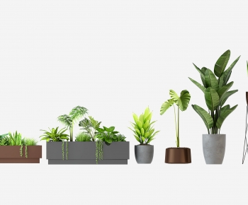 Modern Ground Green Plant Potted Plants-ID:926332951