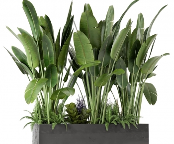 Modern Plant Landscaping-ID:152184011