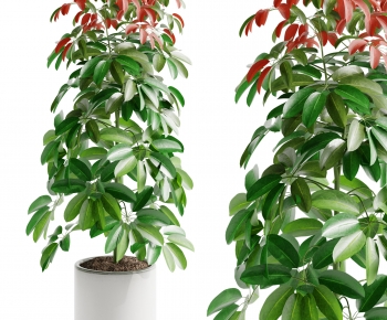 Modern Ground Green Plant Potted Plants-ID:945055013