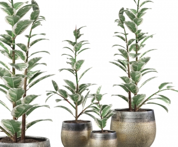 Modern Ground Green Plant Potted Plants-ID:830375916