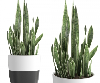 Modern Potted Green Plant-ID:872770077