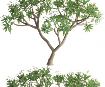 Modern Shrubbery-ID:745074039