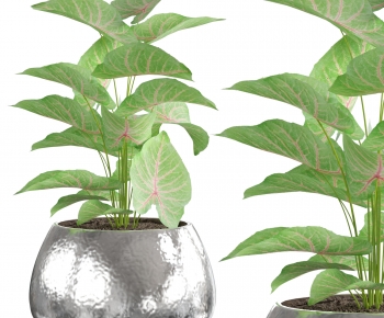 Modern Potted Green Plant-ID:685549971