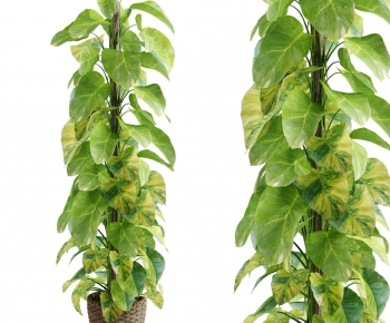 Modern Ground Green Plant Potted Plants-ID:624660979