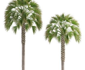 Modern Tree-ID:217499749