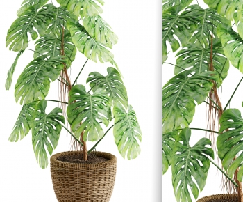 Modern Ground Green Plant Potted Plants-ID:281688932