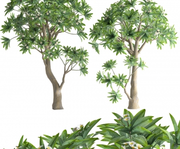 Modern Tree-ID:159787892
