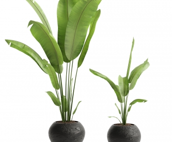Modern Ground Green Plant Potted Plants-ID:869029052