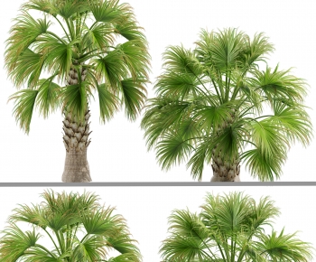 Modern Tree-ID:677784928
