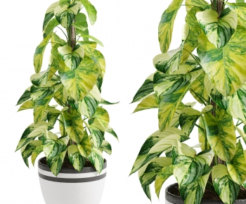 Modern Ground Green Plant Potted Plants-ID:150377044