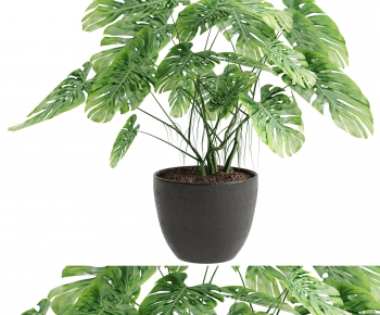 Modern Potted Green Plant-ID:283669959