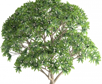 Modern Shrubbery-ID:687076094