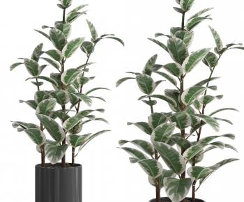 Modern Ground Green Plant Potted Plants-ID:497683055