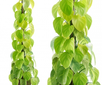 Modern Ground Green Plant Potted Plants-ID:483231073