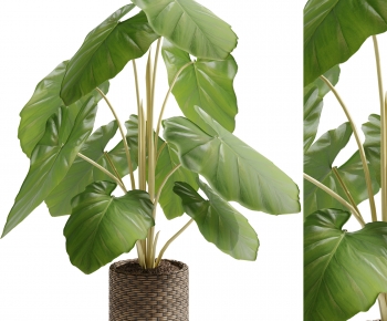 Modern Ground Green Plant Potted Plants-ID:539330966