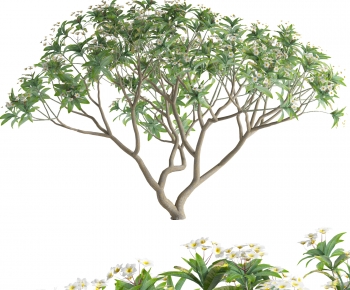 Modern Shrubbery-ID:942946919