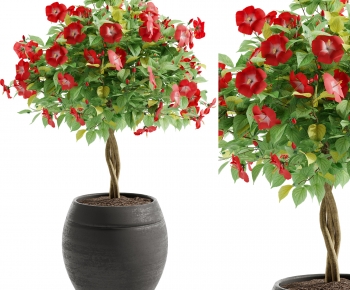 Modern Ground Green Plant Potted Plants-ID:263192895