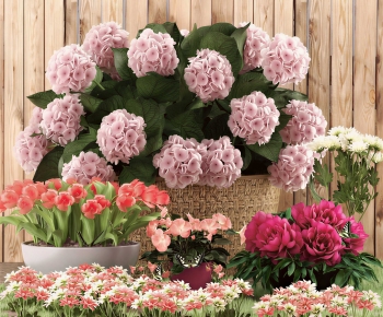 Modern Flowers-ID:481430053