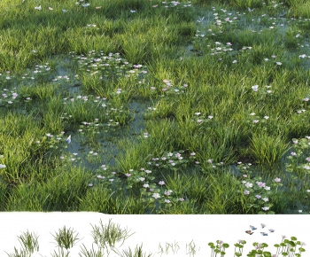 Modern The Grass-ID:281634098