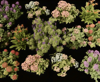Modern Shrubbery-ID:575848105
