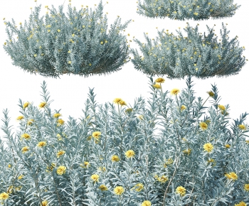 Modern Shrubbery-ID:803129718