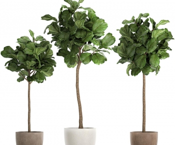 Modern Ground Green Plant Potted Plants-ID:495043993