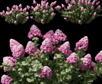Modern Flowers And Grass-ID:470019102
