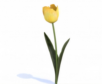 Modern Flowers And Grass-ID:208497052