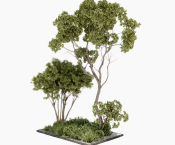 Modern Tree-ID:705750071