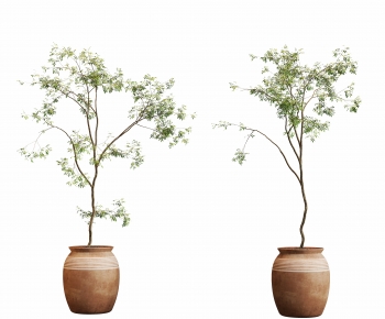 Modern Ground Green Plant Potted Plants-ID:596339941