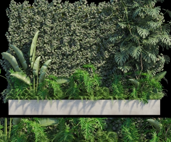Modern Plant Wall-ID:519203904