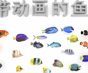 Modern Aquatic Animals-ID:178055054